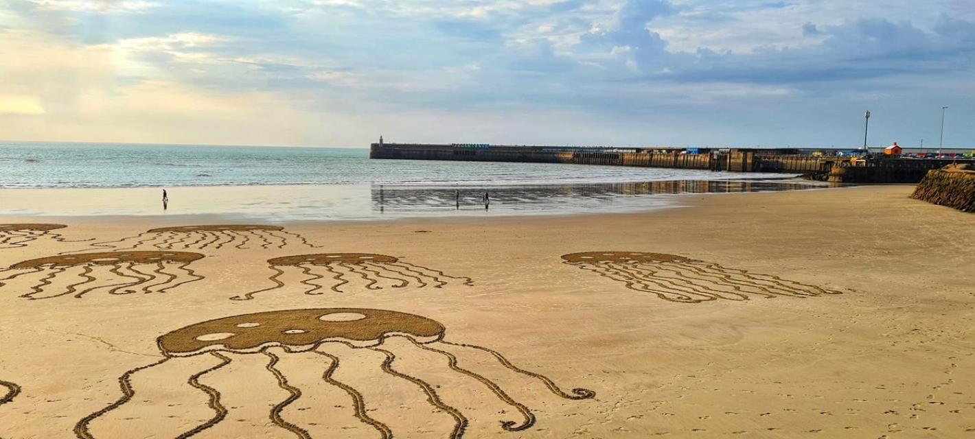Modern Double Room With En-Suite, Parking & Fast Wifi - Close To Beach Sandgate Extérieur photo